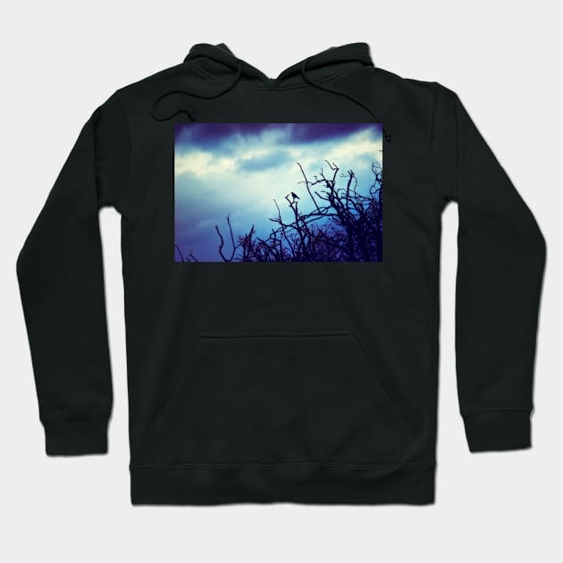 Guardian of the Shadows Hoodie by InspiraImage